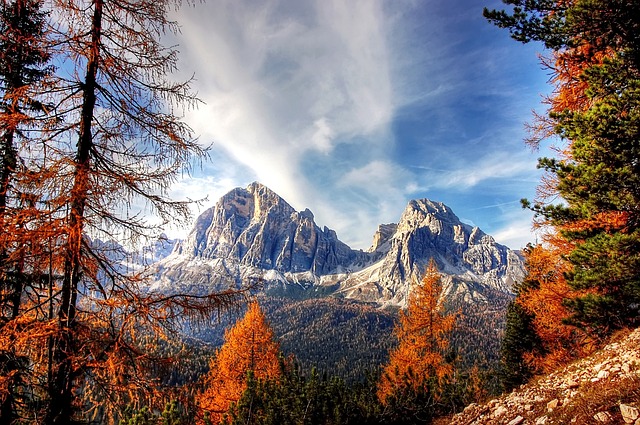 landscape