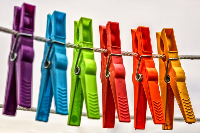 organization